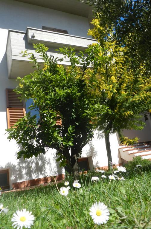 Brezza Affittacamere Montemarciano Extérieur photo